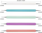 5-Pc Pattern Tracing Ball Embossing Stylus Set - Image 2
